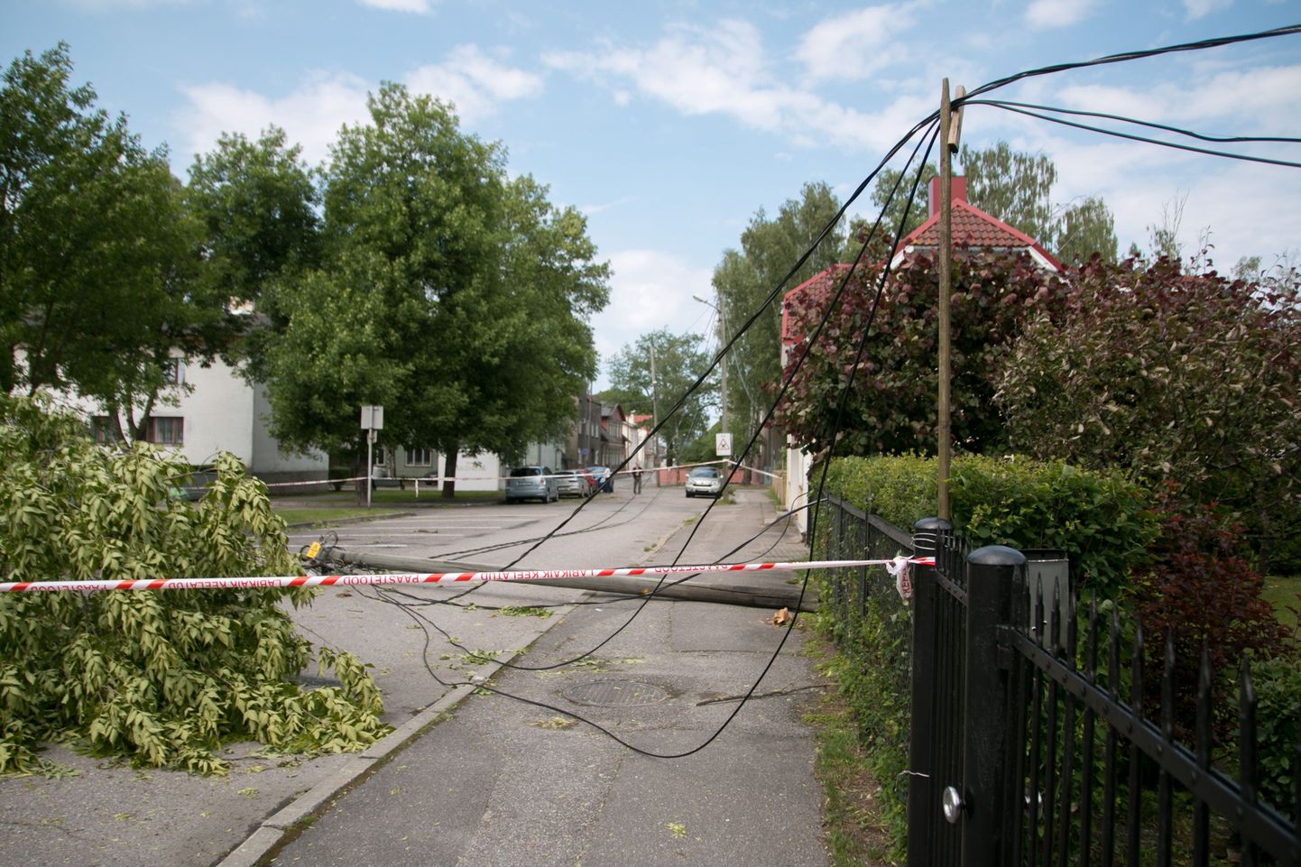 Pärnus Roosi tänaval murdus puu elektriliinidesse