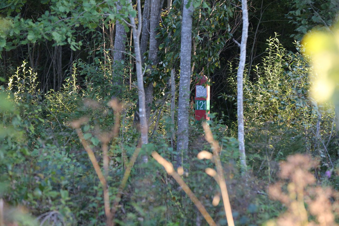 Koht Luhamaa piiripunkti läheduses, kus rööviti Eesti kaitsepolitseinik.