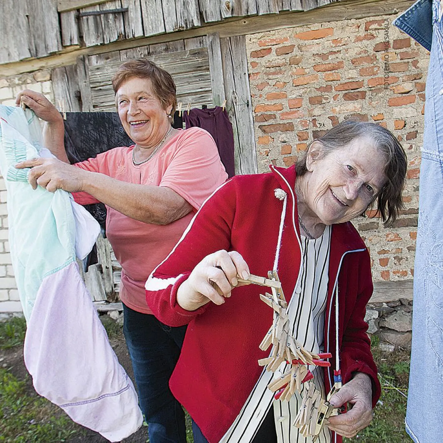 Ikka rõõmsas koostöös. 77aastane Linda Paas ei ulata ise pesu kuivama panna. Linda annab oma isiklikule abistajale, 67aastasele Anne Arrile puhtaks küüritud pesu ja Anne riputab selle siis nöörile kuivama.