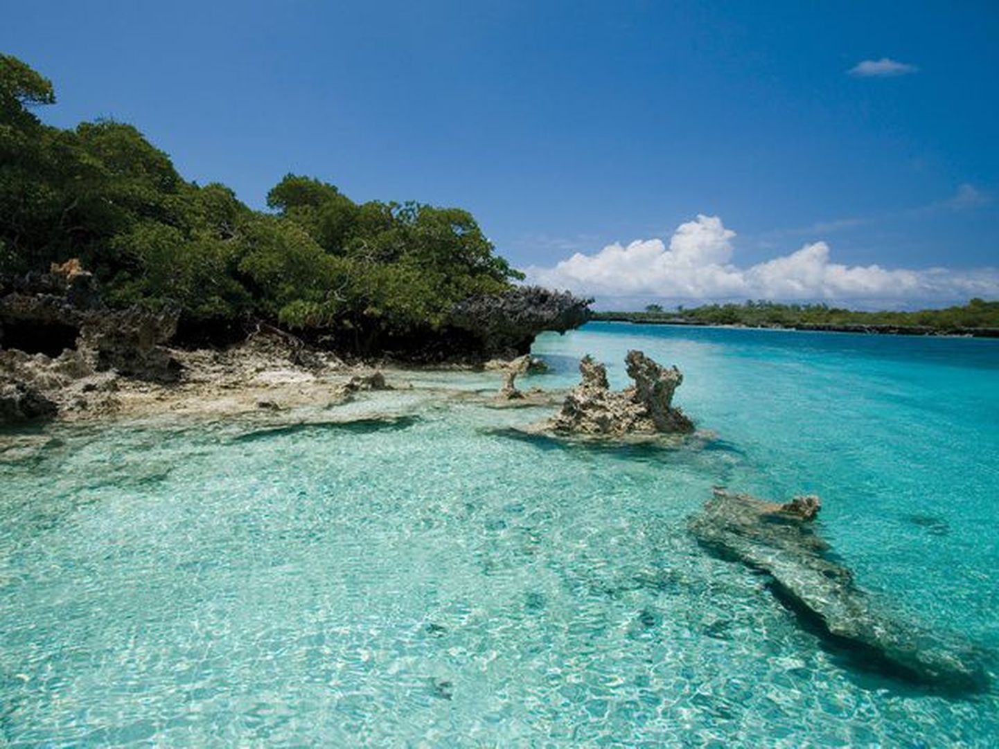 "Salapärane saar Aldabra".