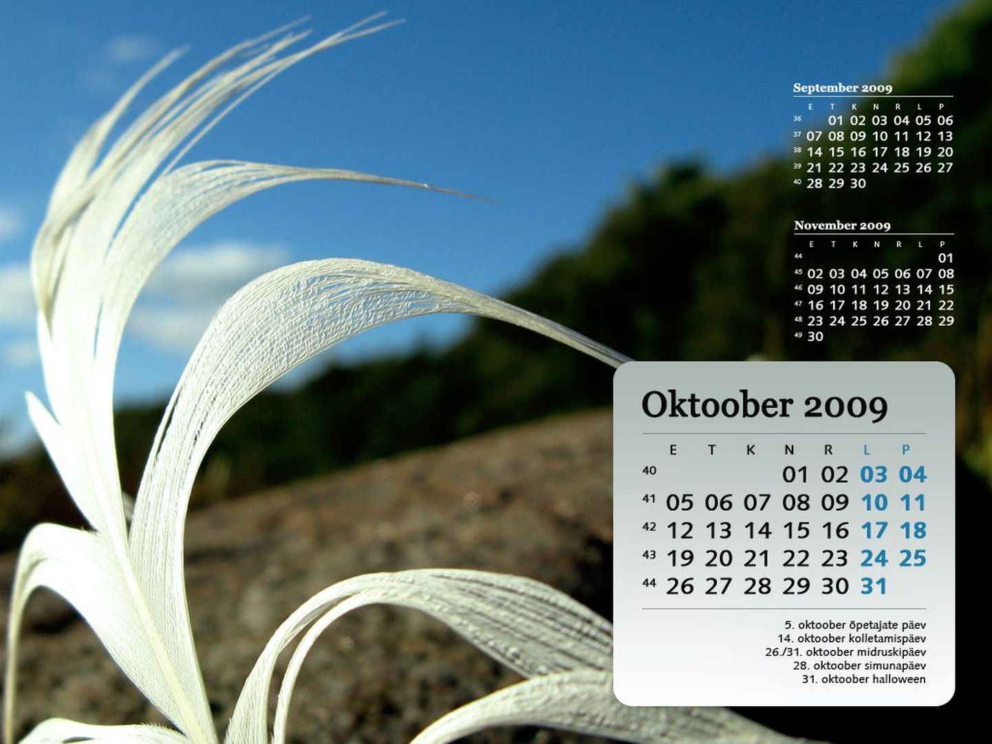 Postimees.ee oktoobrikuu kalender