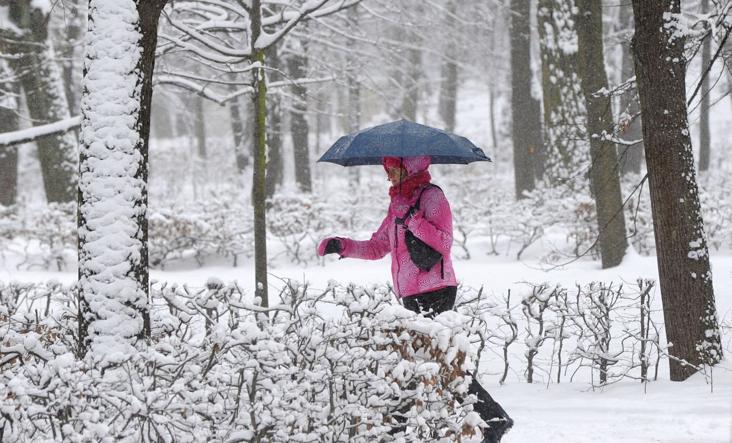 Soome meteoroloogid lubavad reedeks lund