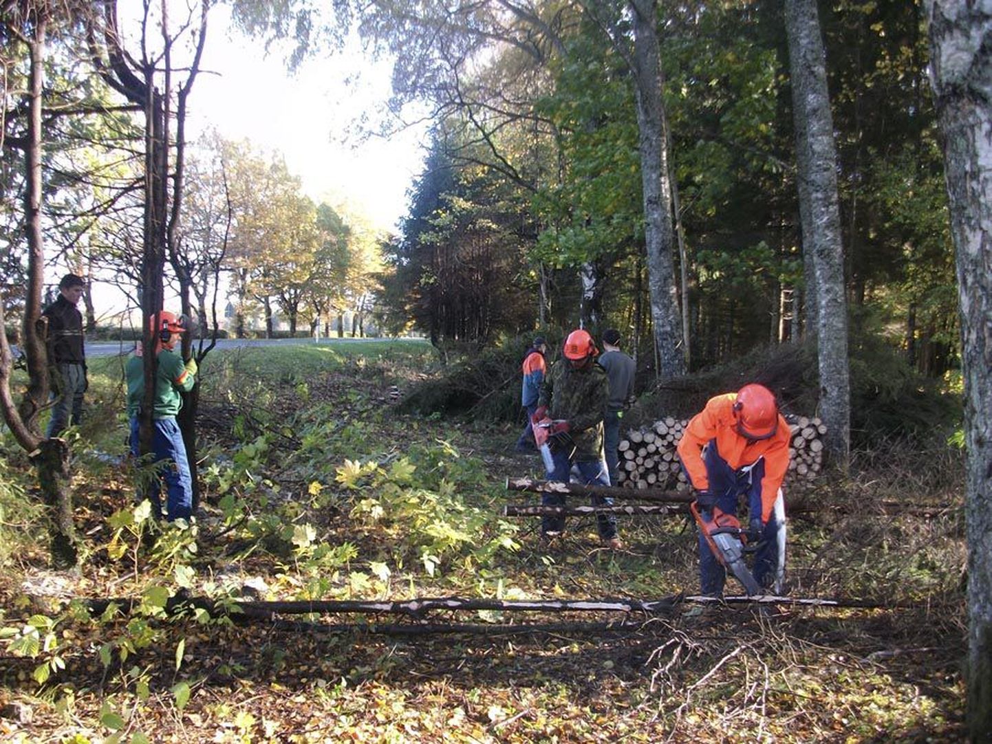 Prantsuse poisid on kolmenädalase praktika kestel Eestis oskusi lihvinud, töötades nii metsas kui pargis.