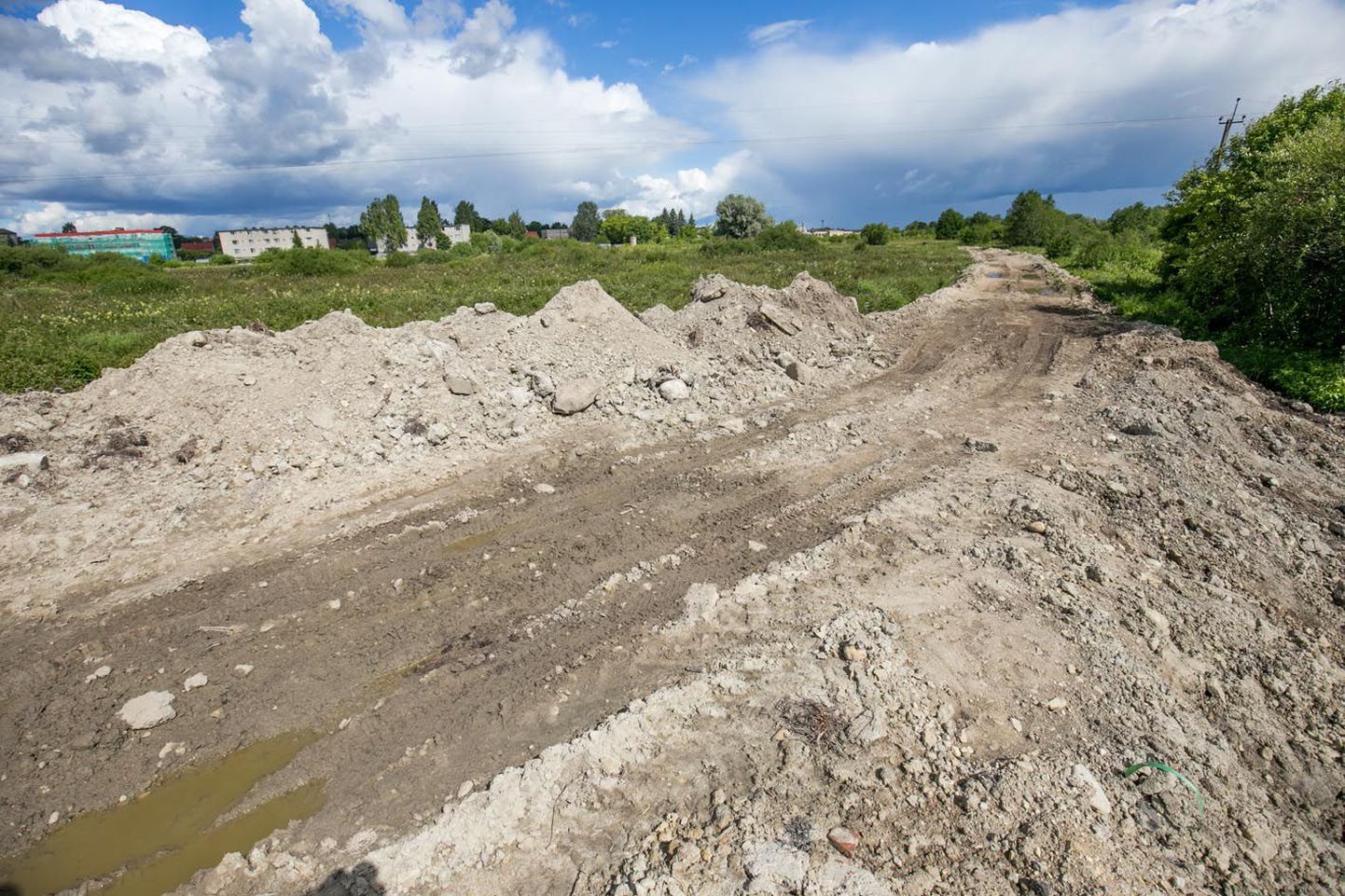 Kuigi Paide linnavalitsus küsis luba Pärnu jõe äärseid madalamaid kohti pinnasega täita, on sinna kerkinud hoopis kehvemat sorti külatee.