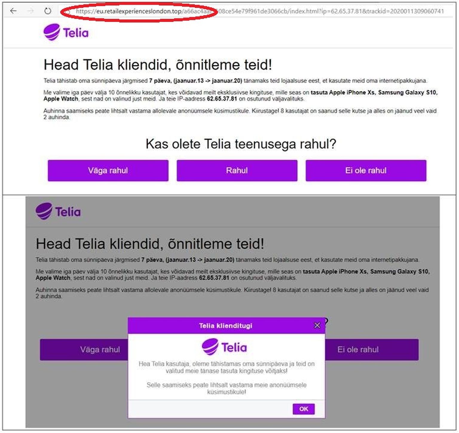 Telia nimega levitatav õngitsuskiri. Kuvatõmmisel on selgesti nähtav mitteametlik veebileht, kust kiri on saadetud.