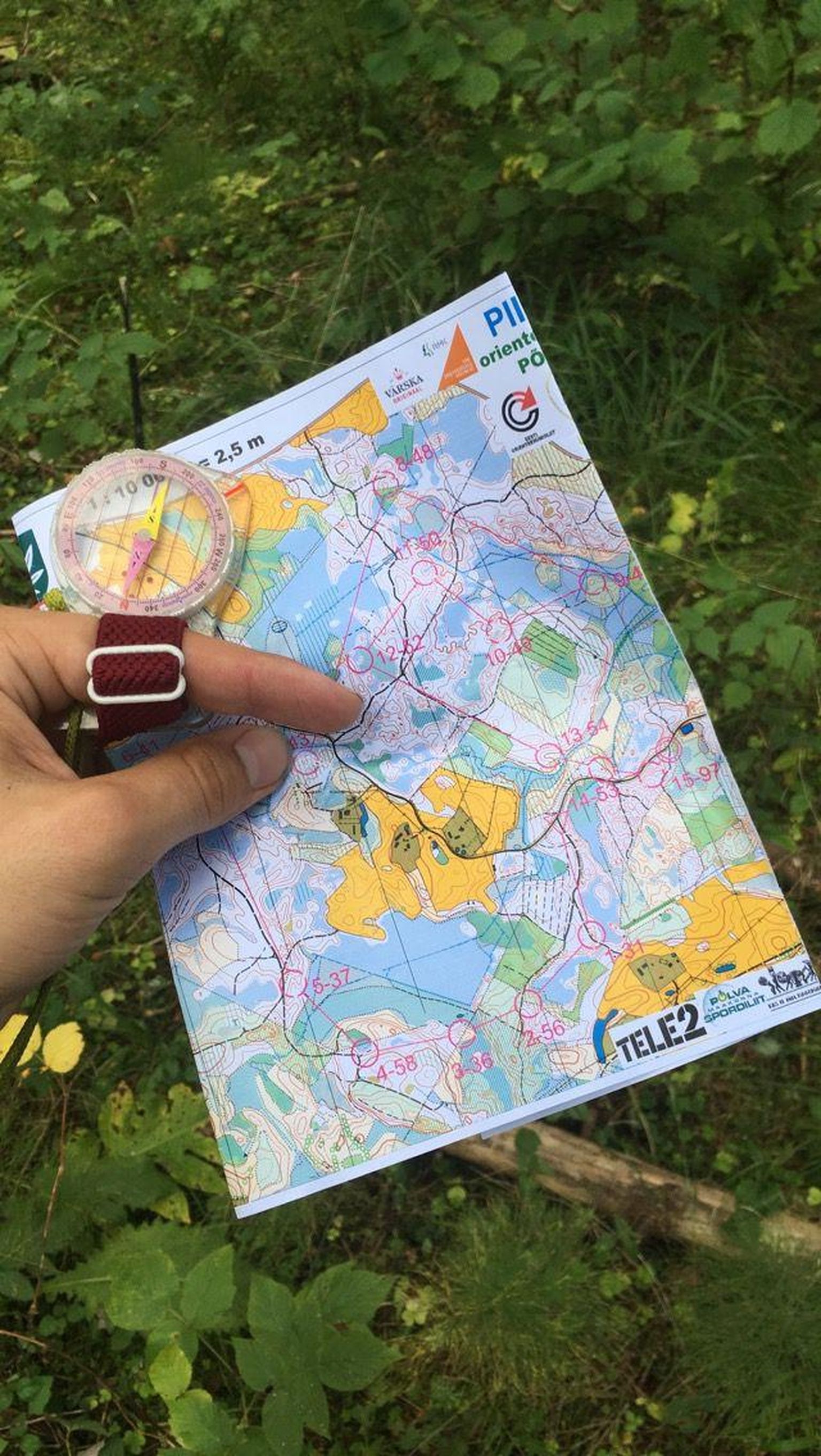 Orienteerumisklubi West esindaja Tekla Liisa Vilberg võitis nädalavahetusel Vitipalus peetud Eesti meistrivõistlustel N18 klassis kuldmedali.
