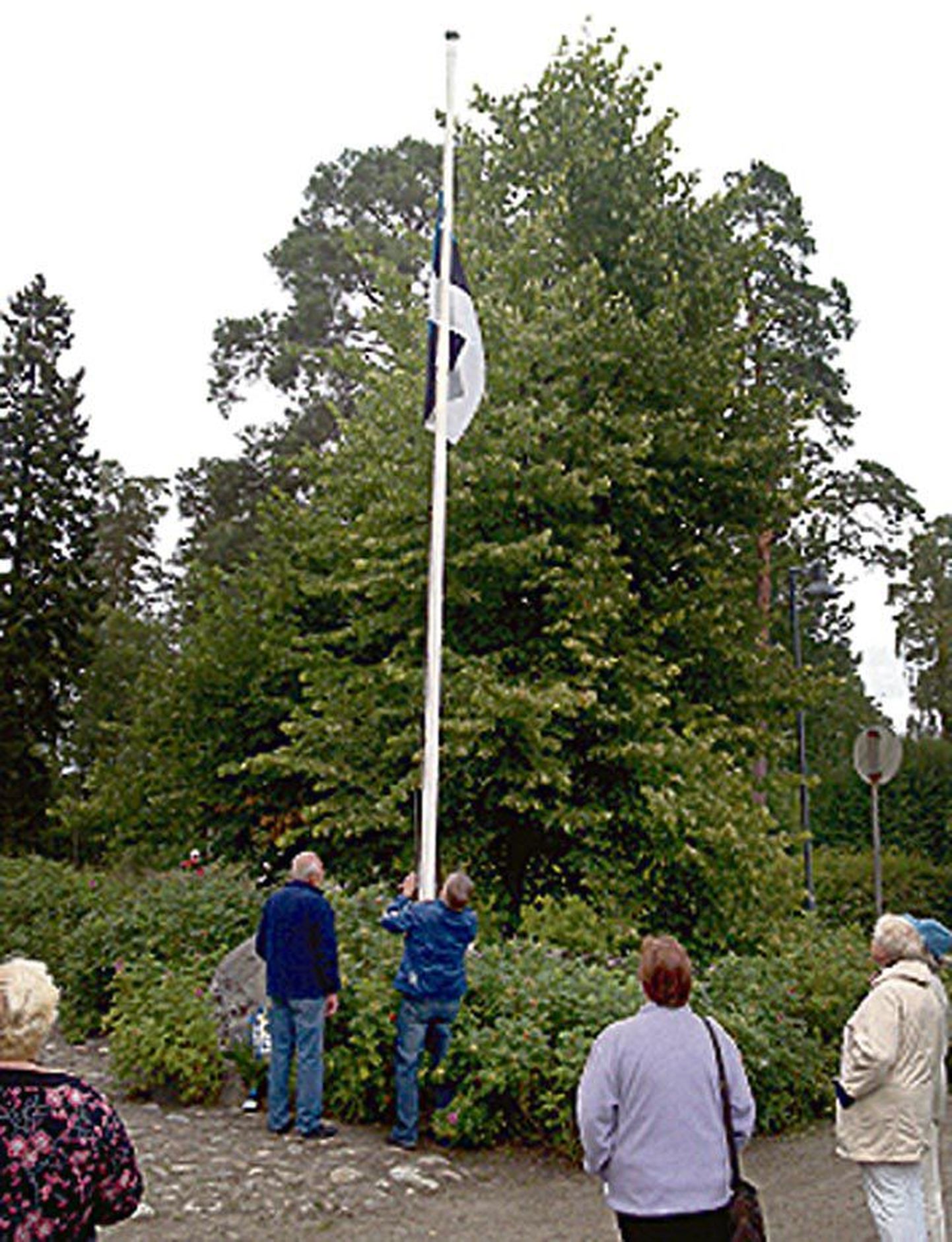 Eesti lipu heiskasid Vaasa-Pärnu sõprusühingu esimees Raimo Vahtera ja Pauli Nieminen.