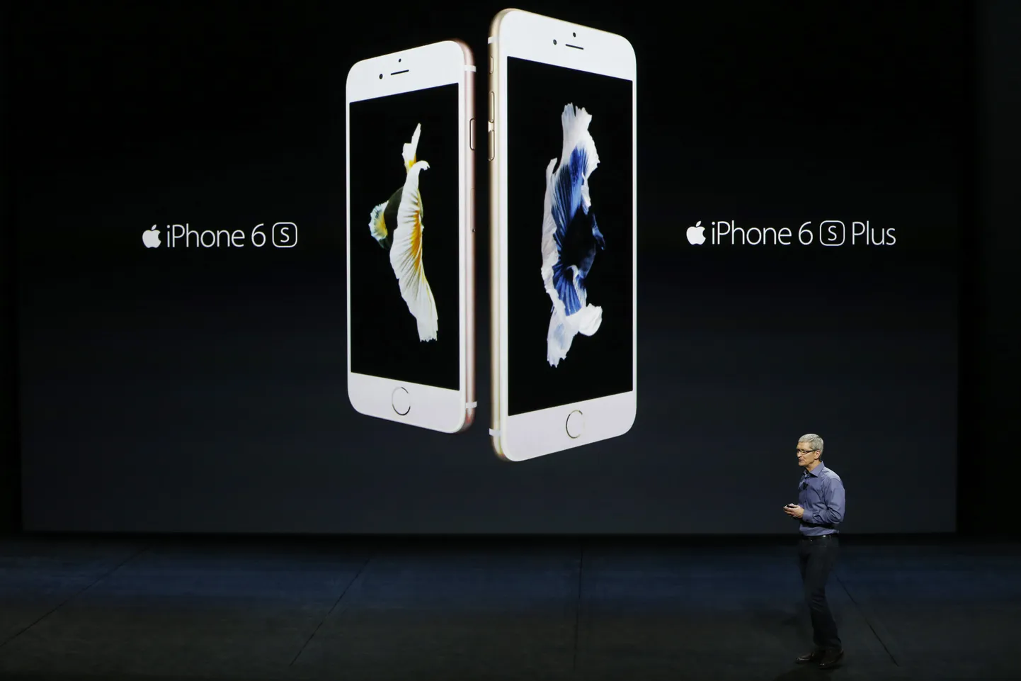 SAN FRANCISCO, CA - SEPTEMBER 9: Apple CEO Tim Cook introduces the new iPhone 6s and 6s Plus during a Special Event at Bill Graham Civic Auditorium September 9, 2015 in San Francisco, California. Apple Inc. unveiled latest iterations of its smart phone, forecasted to be the 6S and 6S Plus. The tech giant is also rumored to be planning to announce an update to its Apple TV set-top box.   Stephen Lam/ Getty Images/AFP
== FOR NEWSPAPERS, INTERNET, TELCOS & TELEVISION USE ONLY ==