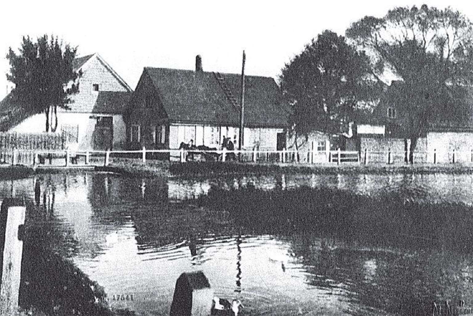 Vaade kunagi praeguse Juhkentali tänava juures asunud Tiigiveskile 19. sajandi lõpul.