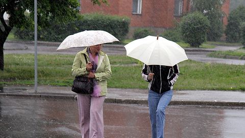 ����: rus.postimees.ee