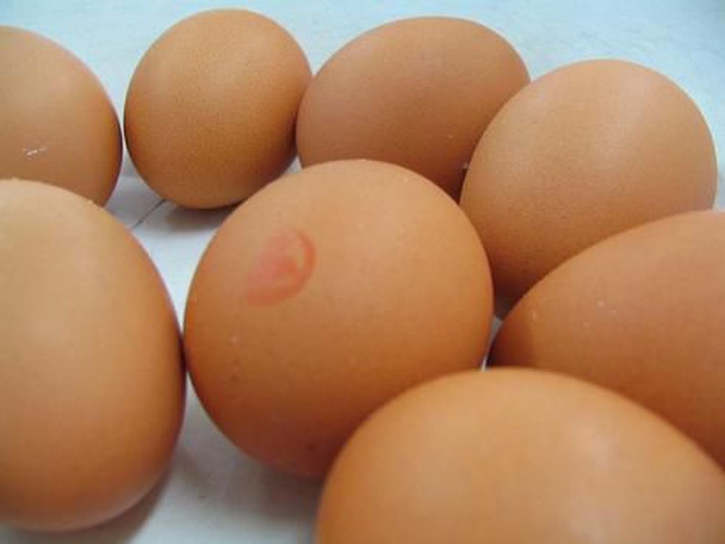 Куриные яйца, не прошедшие соответствующую кулинарную обработку, иногда бывают источником сальмонеллеза.