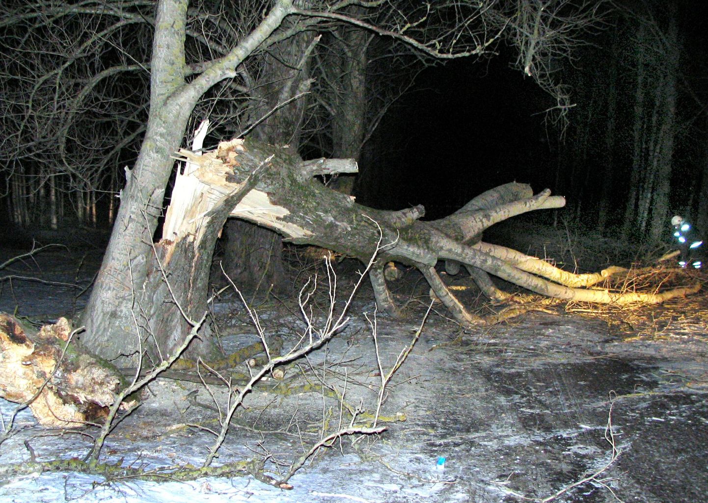 Päästjad murdunud puud teelt eemaldamas.