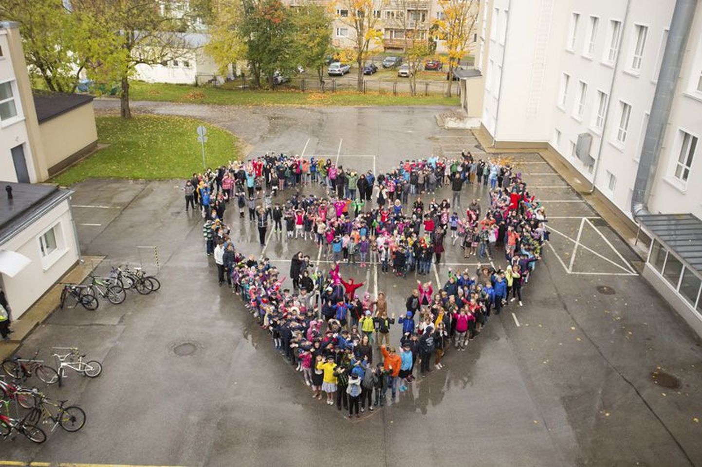 Rakvere gümnaasium tähistas eile 104. sünnipäeva. Pidupäeva puhul otsustasid gümnaasiumi Tallinna tänava hoone õpilased teha ühispildi. Külm tuul ja ladisev vihmavesi kooliperet ei seganud ja pilt sai koerailmale vaatamata siiski õues tehtud.