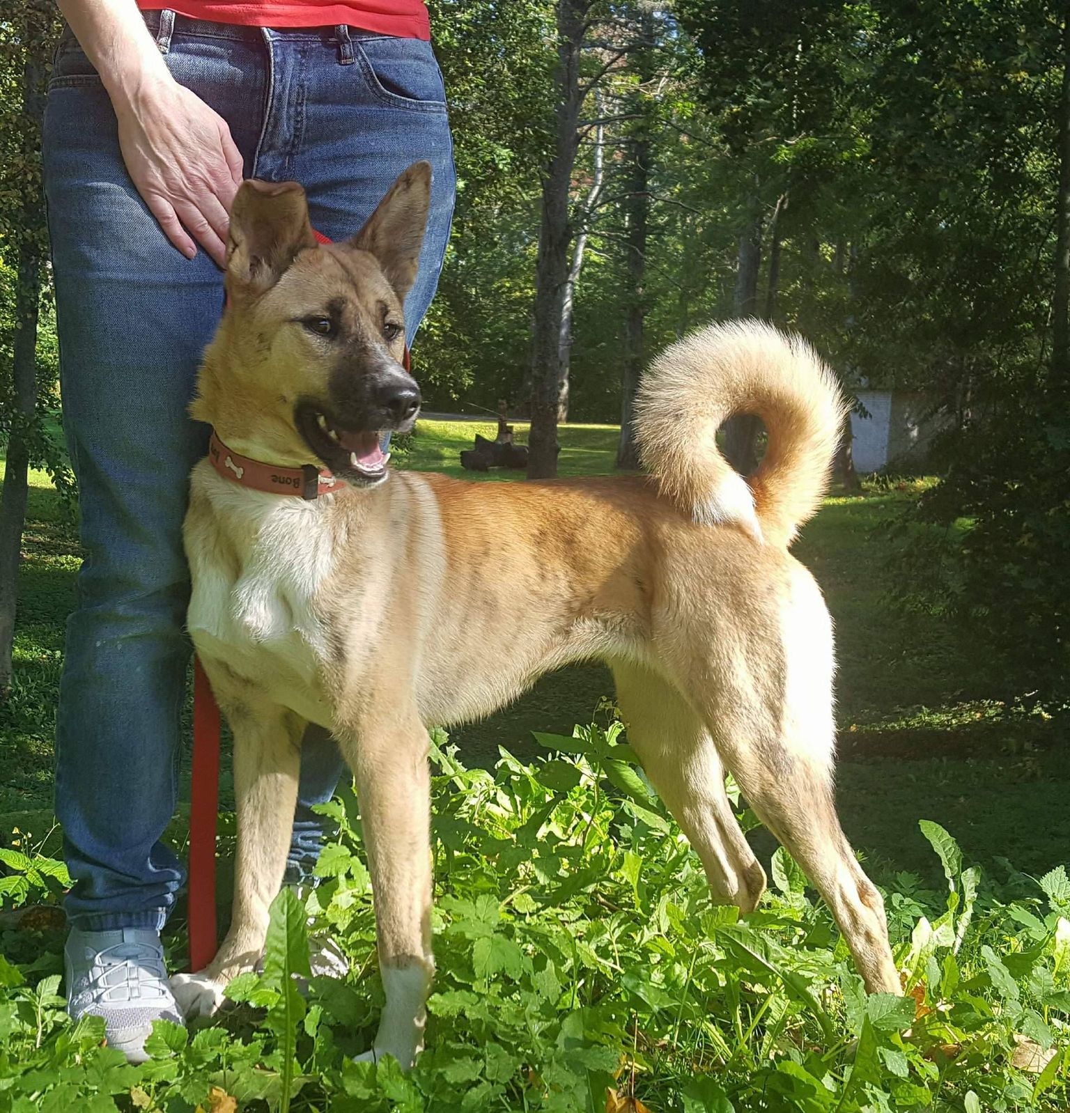 KULLA