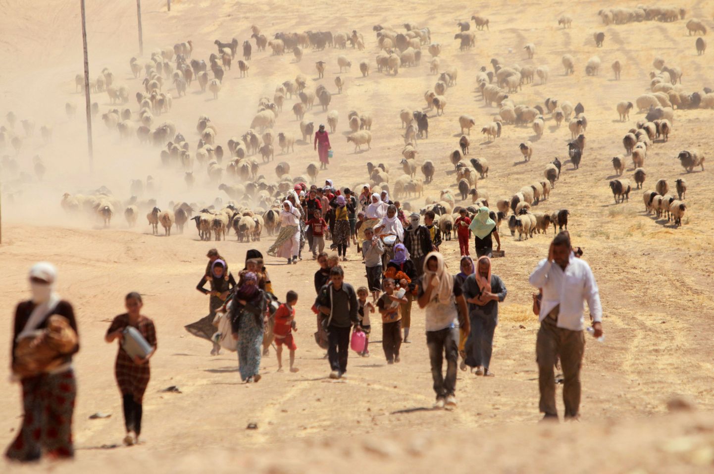 Jaziidid põgenemas Põhja-Iraagist, Sinjari linnast.