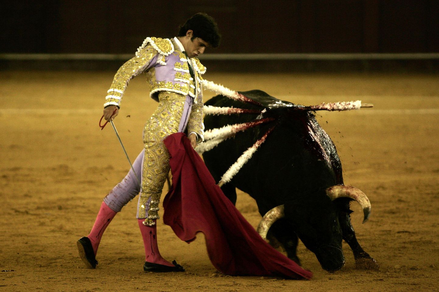 Hispaania matador Alejandro Talavante