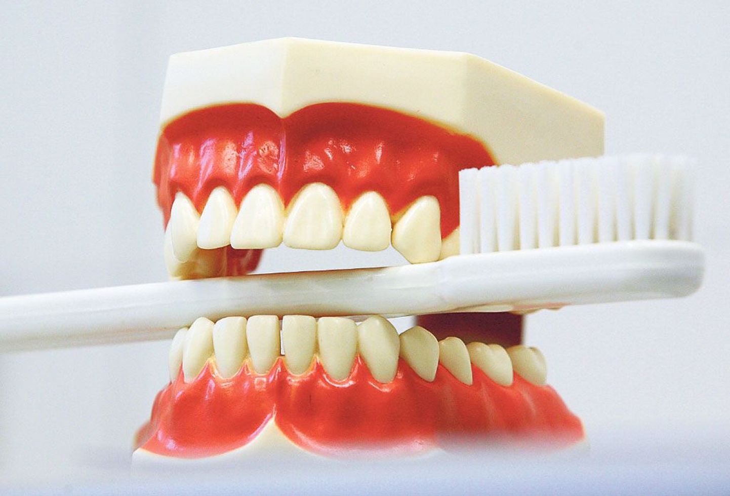 Kui teha kolmetunniseid näksimispause, aitab see hambad heas korras hoida.