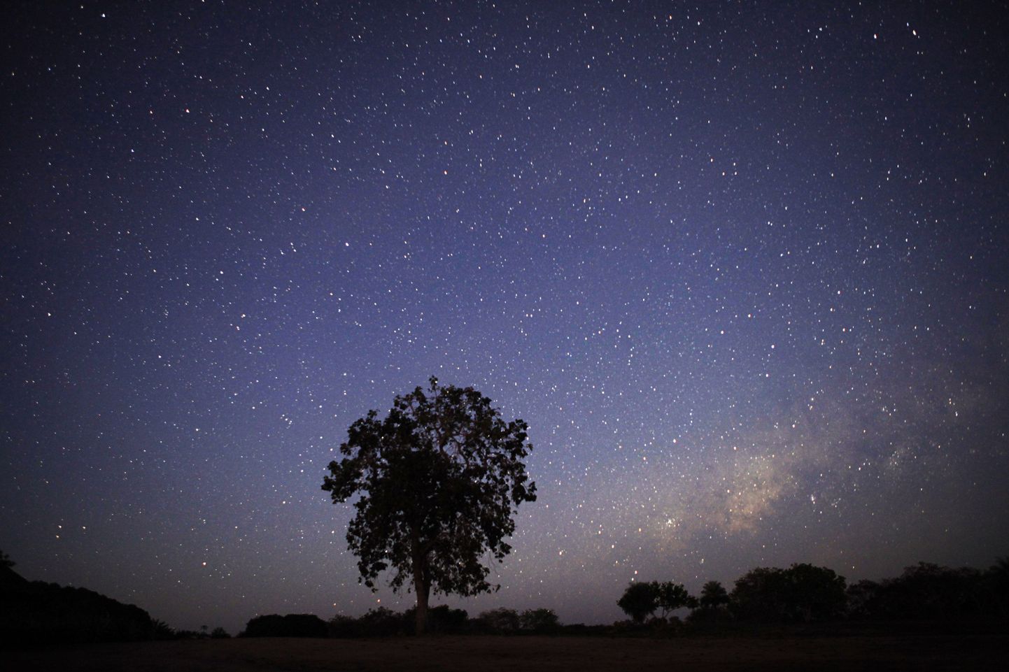 A clear, star-filled sky over the Xingu Park near Mato Grosso, Brazil, in June, 2009. The Kamayura tribe inhabit the Xingu National Park in Mato Grosso. For centuries, fish from jungle lakes and rivers have been a staple of the Kamayura diet, its primary source of protein. But fish smells are not really a problem for the warriors anymore. Deforestation and, some scientists contend, global climate change, is making the Amazon region drier and hotter, decimating fish stocks and imperiling the very existence of the Kamayura. Like other small indigenous cultures around the world with little money or capacity to move, they are struggling to adapt to the changes. (Damon Winter/The New York Times)