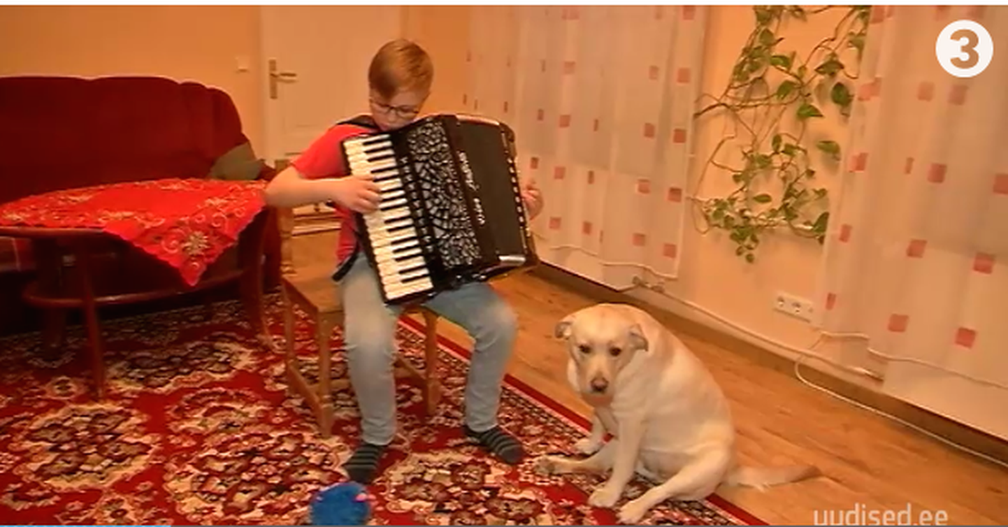 Akordioni mängiv perepoeg ja koer.