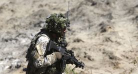 Луйк: Эстония внимательно проследит за ходом учений Вооруженных сил России «Запад»