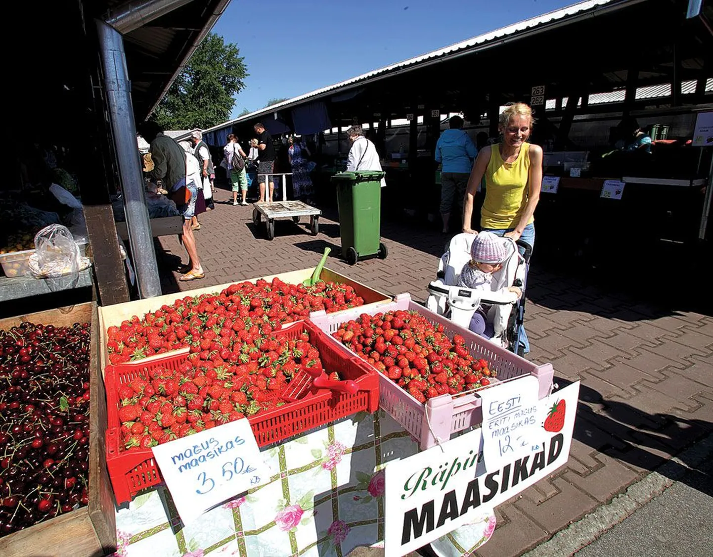 Peagi kaheaastaseks saava tütre Isabellega turule tulnud Kätlin Altement pidas Eesti maasikate 12-eurost kilohinda liiga kalliks ning eelistas kolme ja poole euroga Leedu maasikaid seniks, kuni Eesti marjade hind langeb.