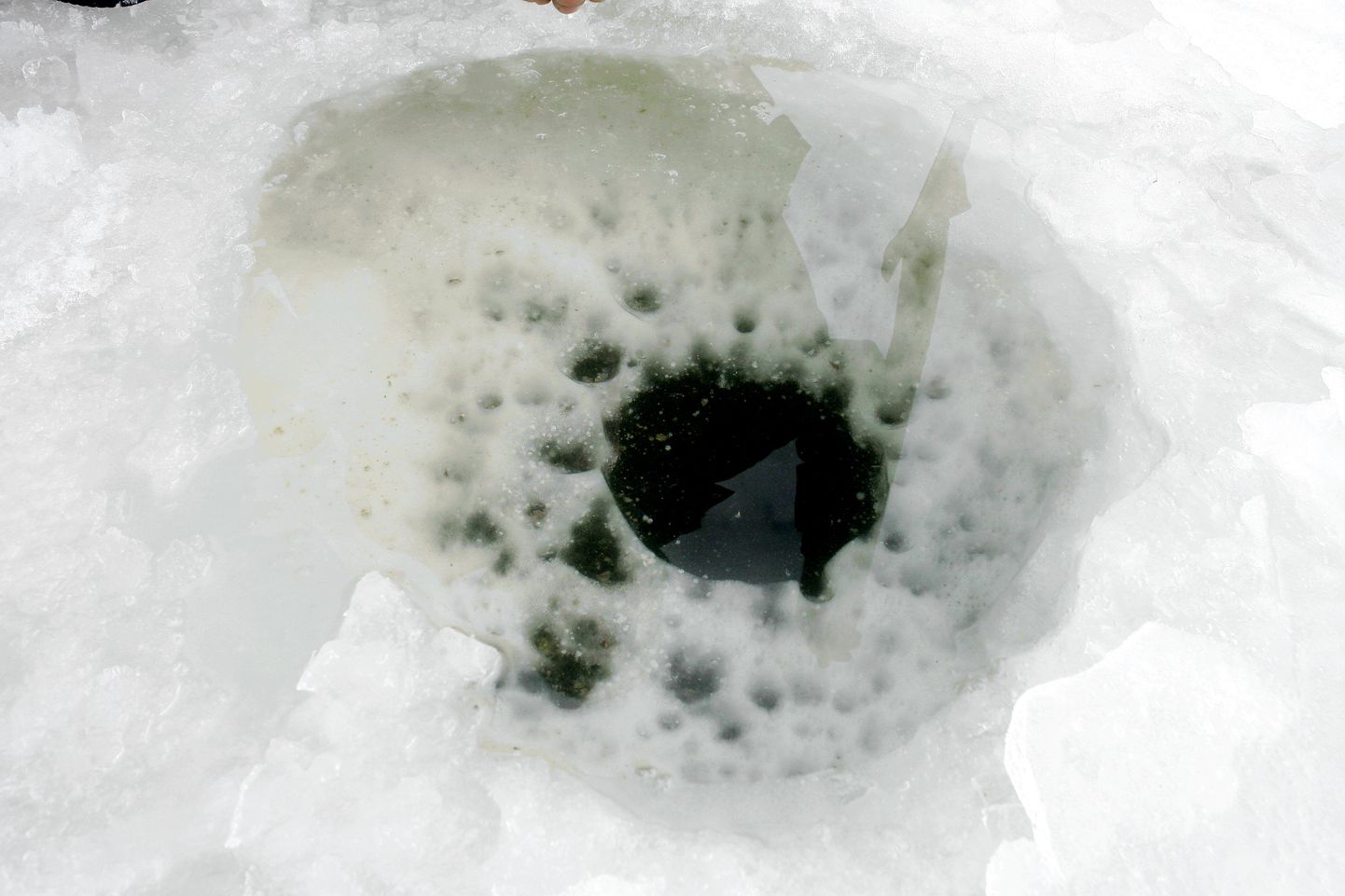 Таинственные следы на льду озера у хутора Торупиллиталу нашли 13 марта.
