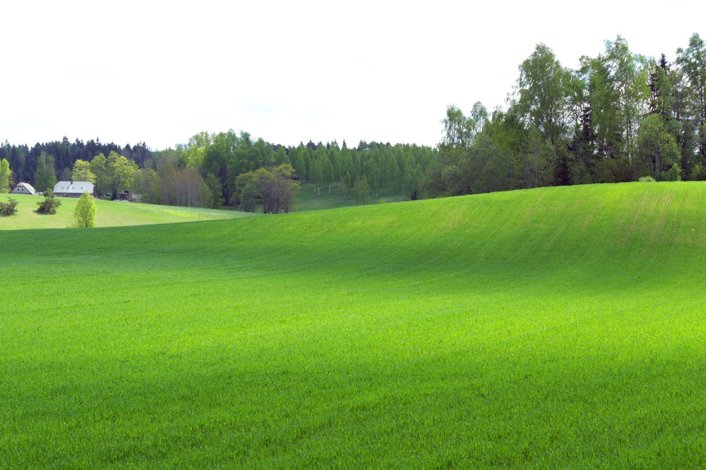 Kuigi koleda nimega, on Otepää lähedal asuv kevadine Munnimägi ilus koht, tuletades veidi meelde omaaegset Windows XP töölaua taustapilti.