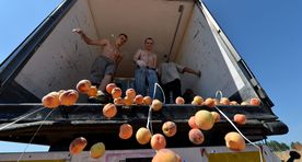 Европейским производителям овощей и фруктов компенсируют убытки от российского эмбарго
