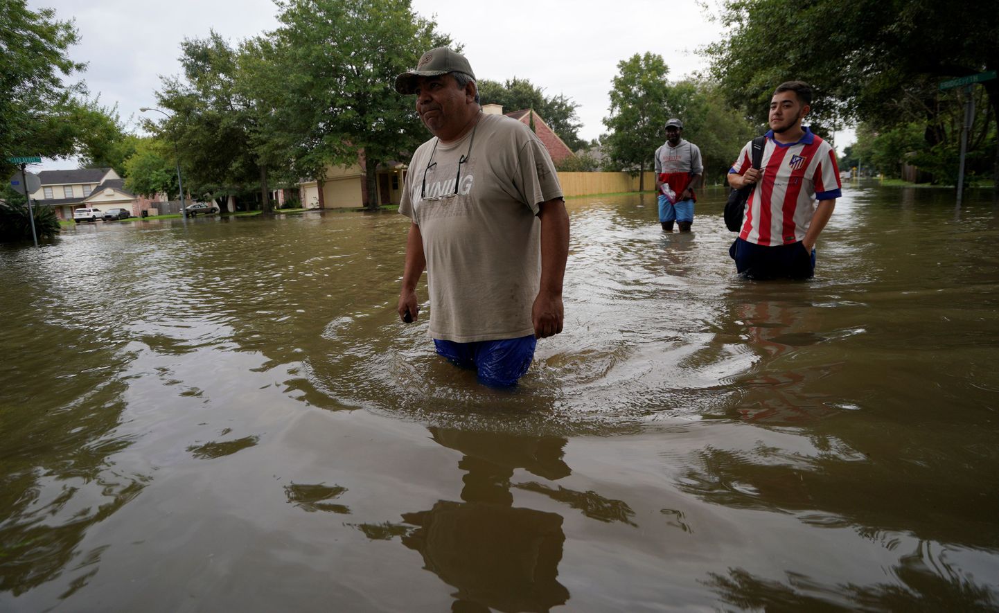 Tulvaveed Houstonis.