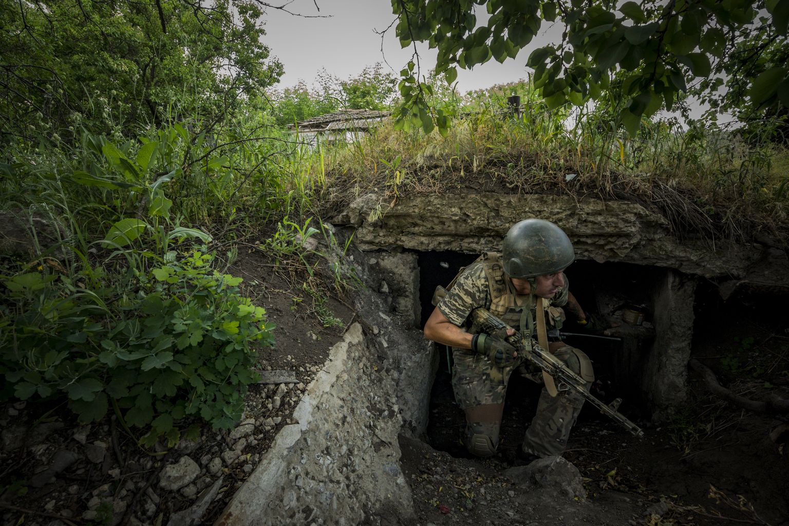 Ukraina sõdur.