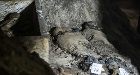 Сенсационные кадры: в Египте обнаружена гробница фараонов с десятками мумий
