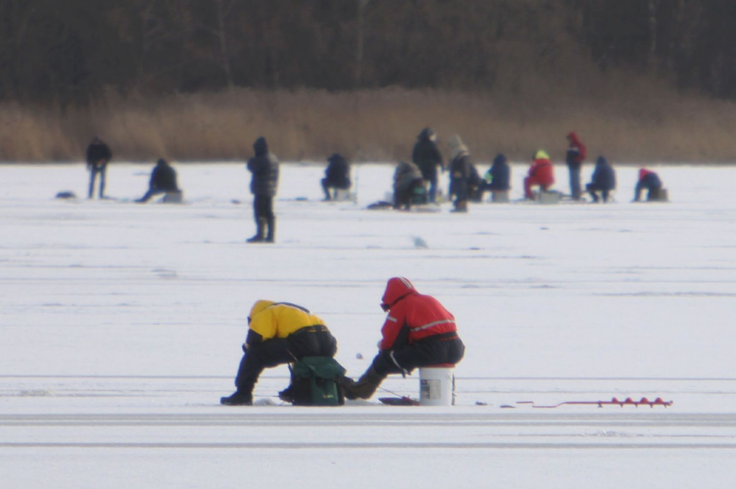 Valga Firmaspordi talimängudel võisteldakse täna ka kalapüügis. Fotol on kalamehed Pärnu jõel.