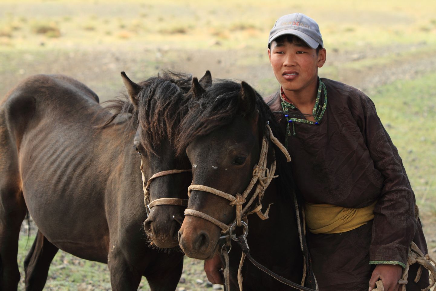 Hobune on Mongoolias iseenesest mõistetav – Prževalski ehk Mongoolia metsik hobune.