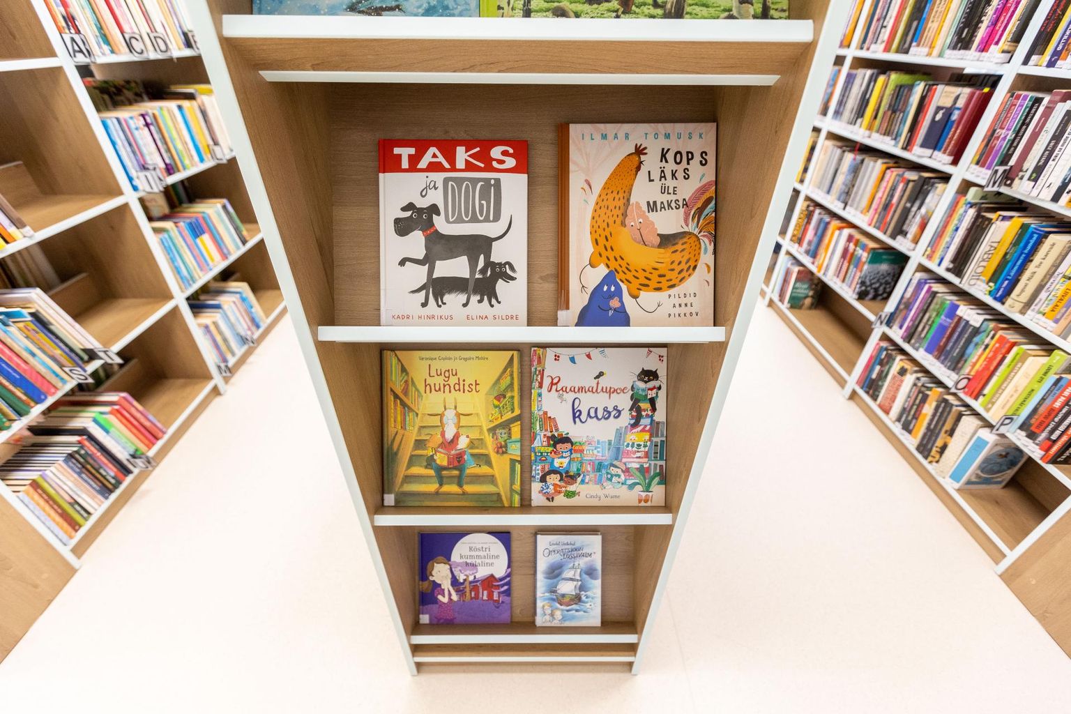 Raamatud raamatukogus. Foto on illustratiivne.