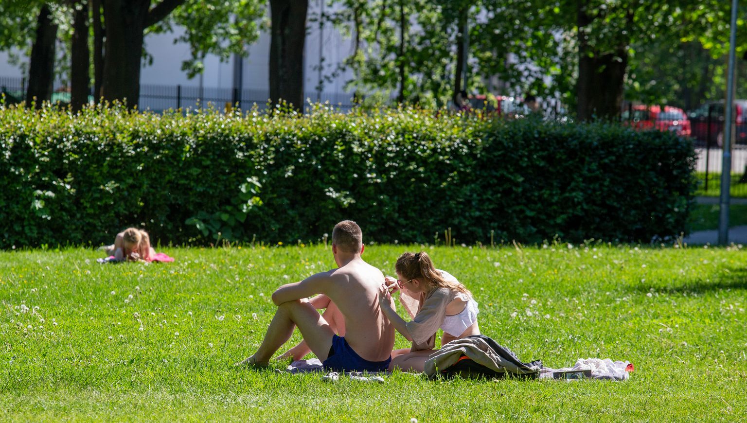 Päevitajad Vanemuise pargis.