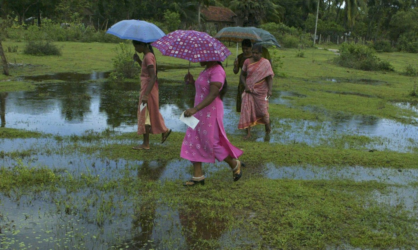 Tamili naised ruttamas vihmavarjudega läbi soise ala Sri Lankas.