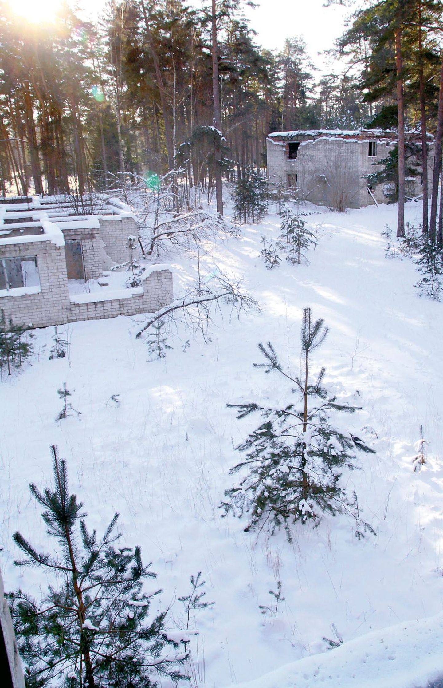 Midagi uut ei ole tulevasele Lottemaale aastaga tekkinud, talvist looduse vaikelu ilmestavad vaid Nõukogude sõjaväest maha jäänud hoonete varemed.