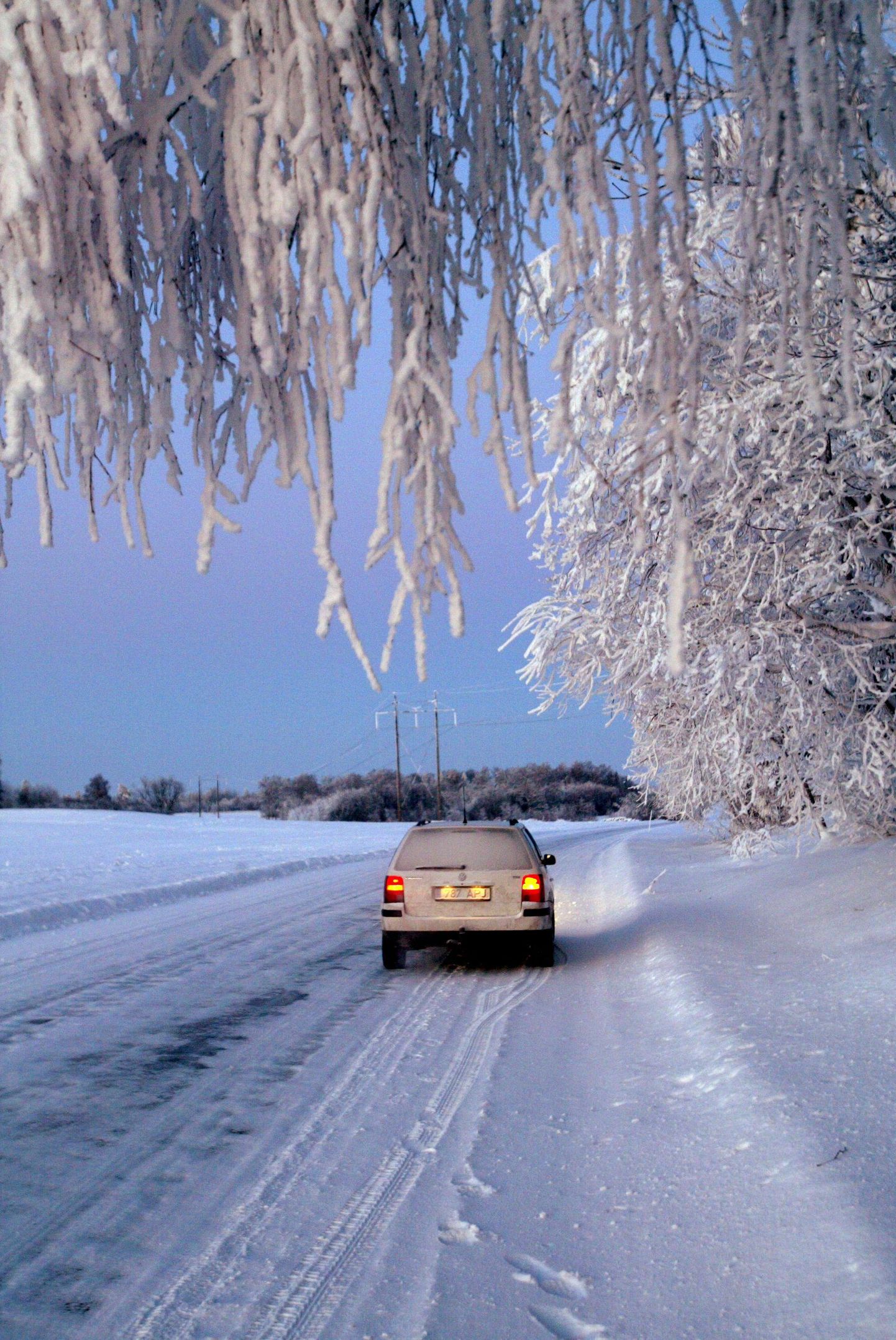 Lumine maantee.