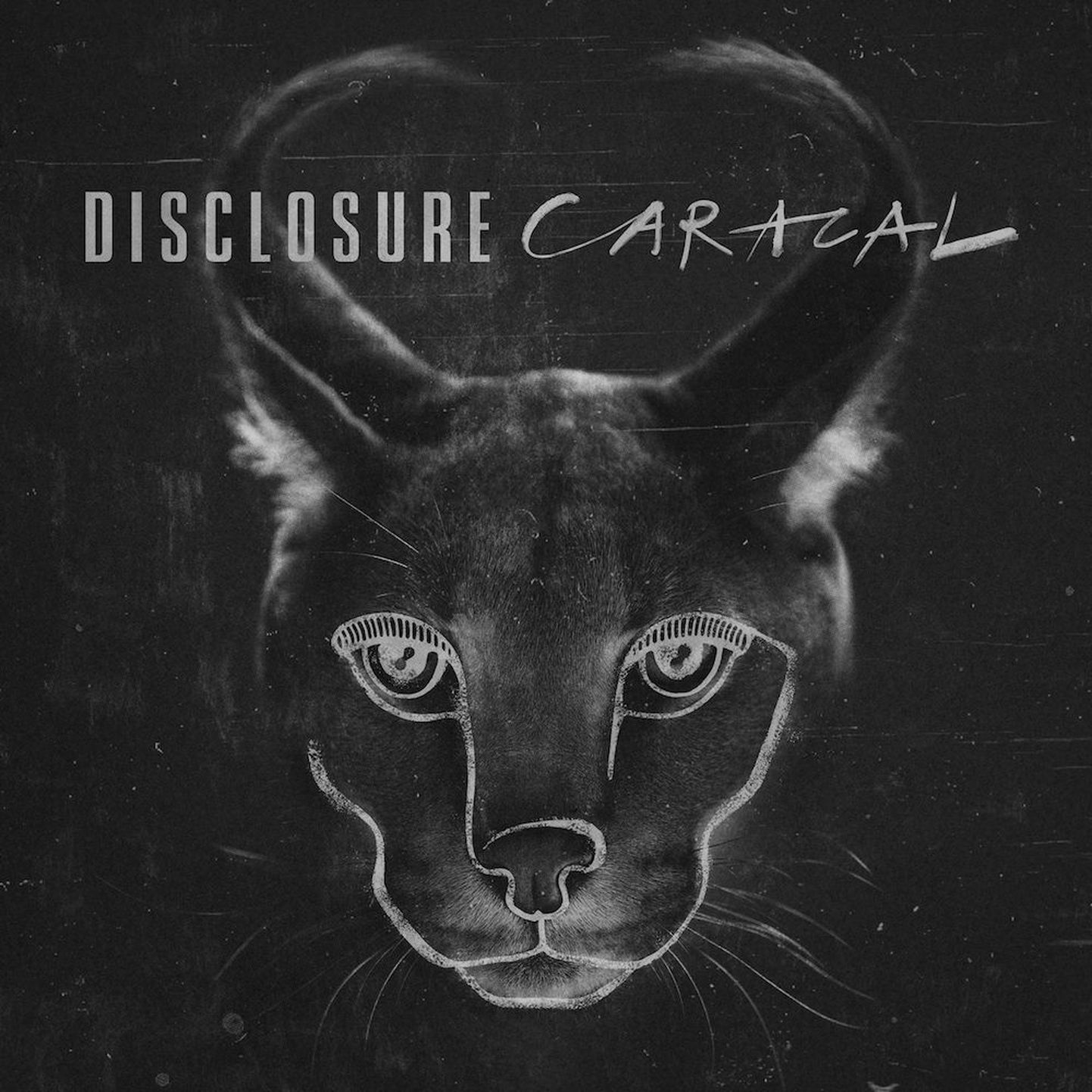 Disclosure- Caracal