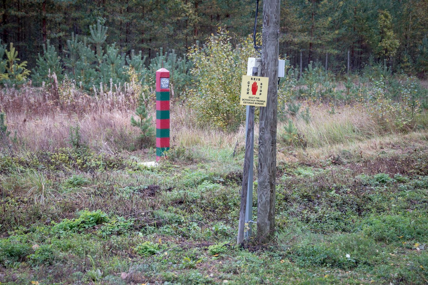 Юго-восточная граница Эстонии.