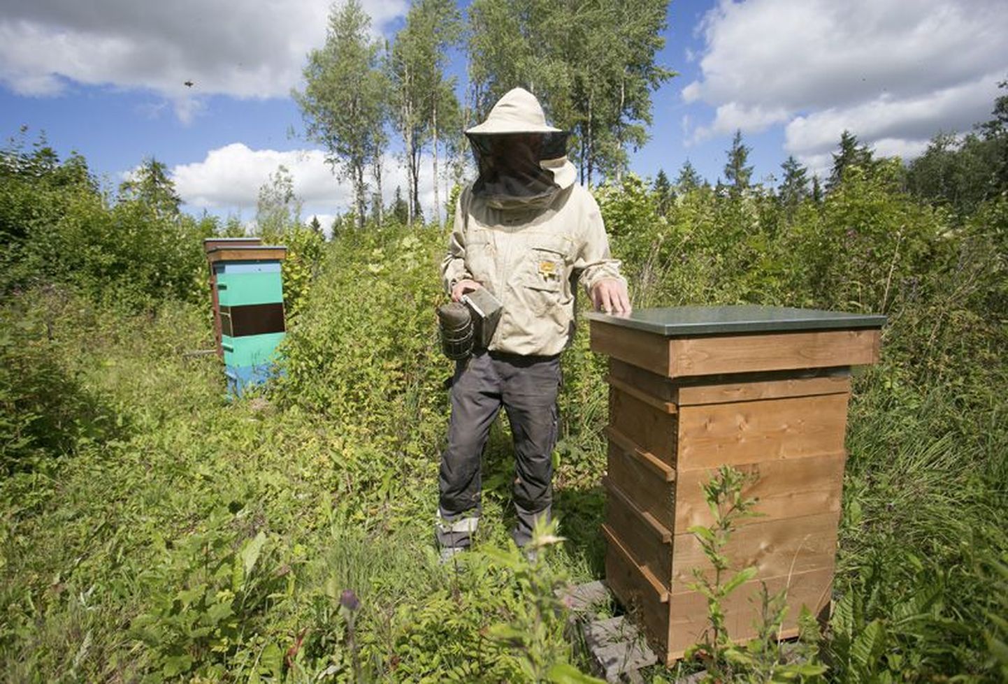 Mesilastega on palju tegemist ja kevadest sügiseni on mesiniku käed tööd täis.