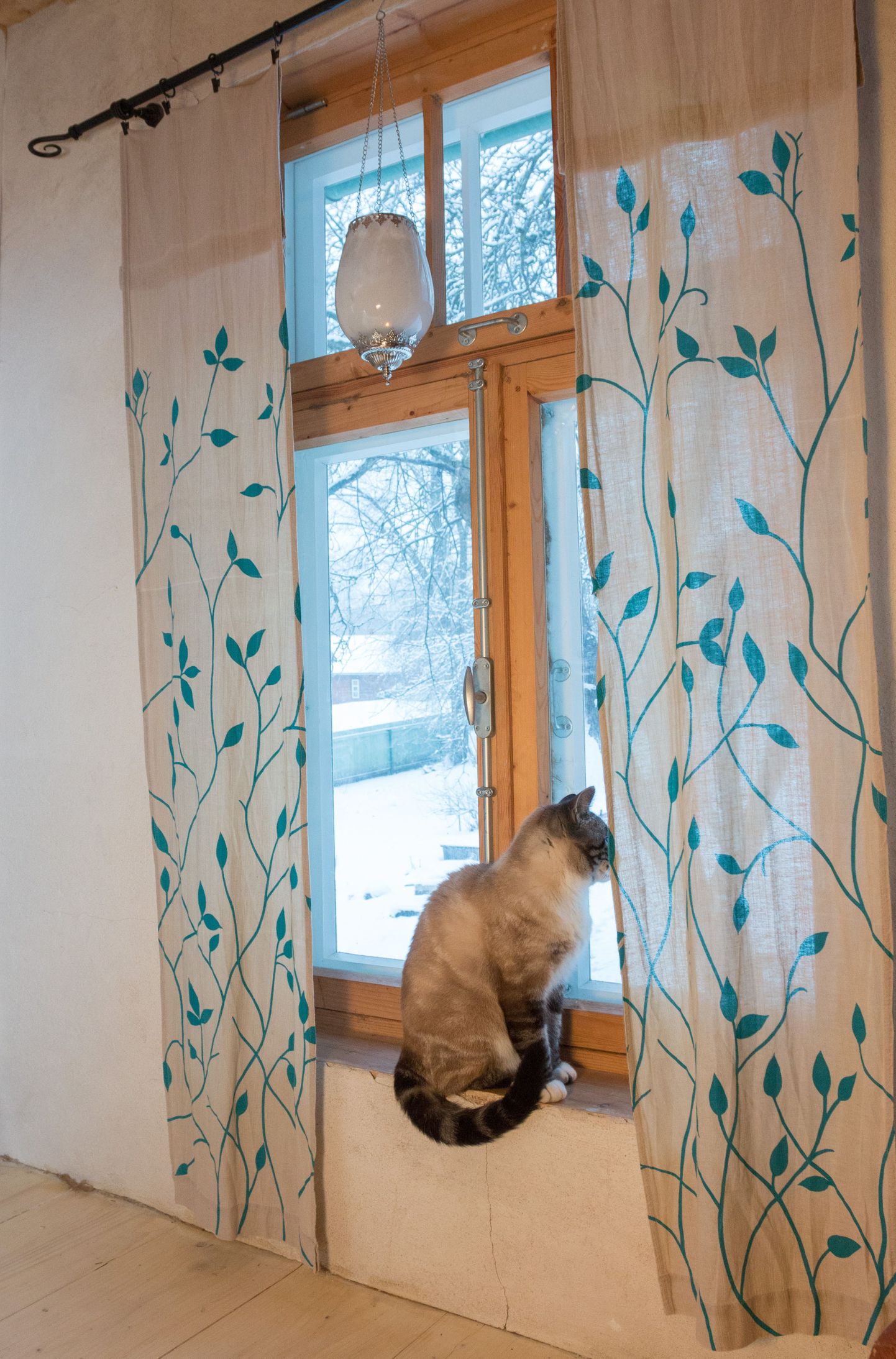 Kassi jaoks kõige turvalisem suletud akna tagant loodust vaadata või hankida aknale spetsiaalne võrk.