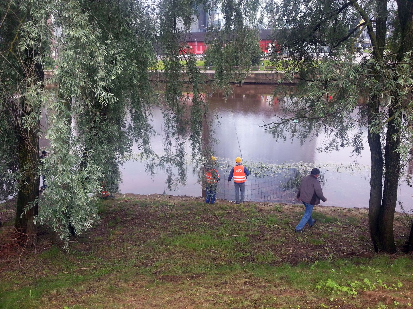 Рабочие ловят рыбу в реке Эмайыги.