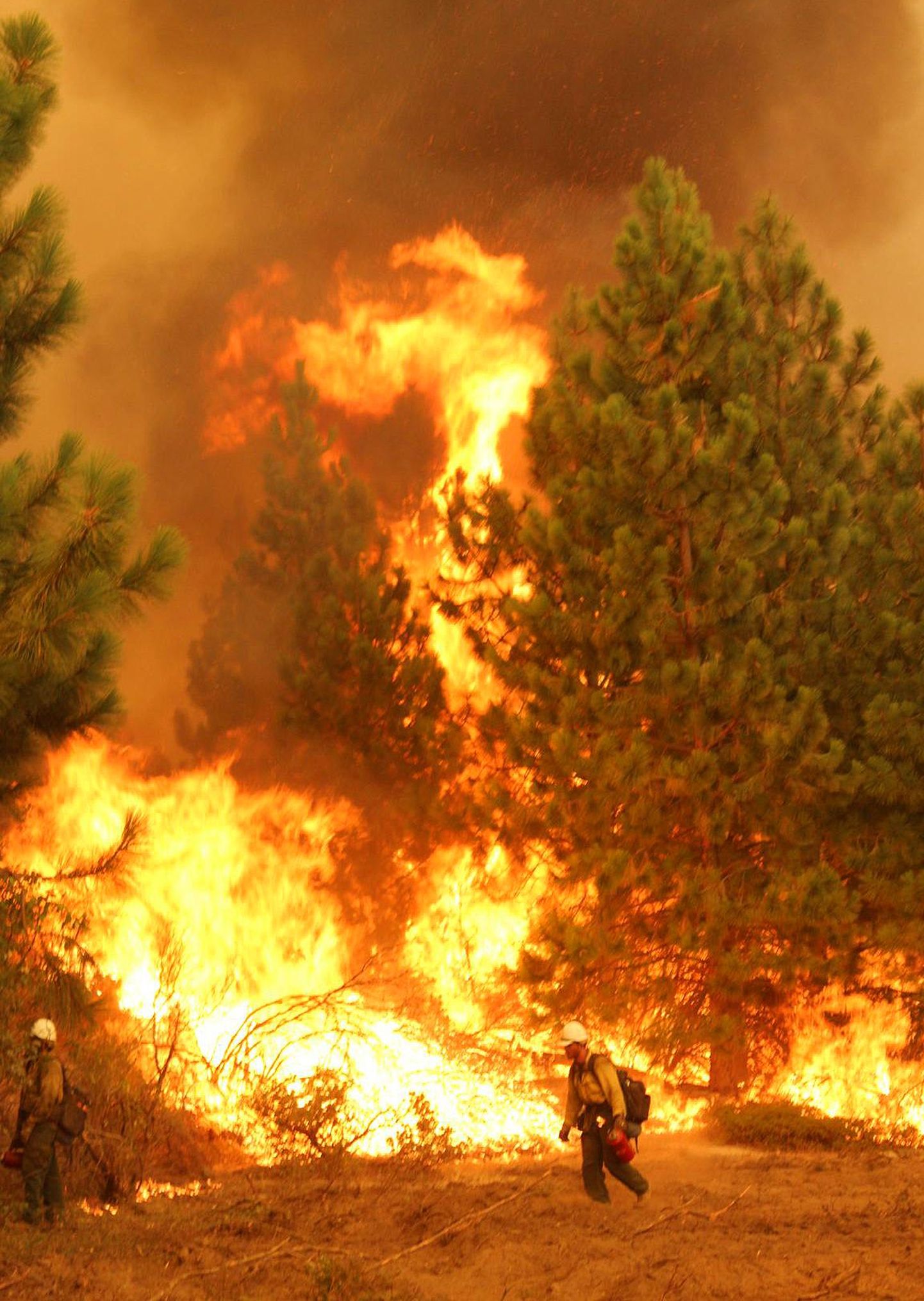 Yosemite`i rahvuspargi põlengu võis tekitada salakütt