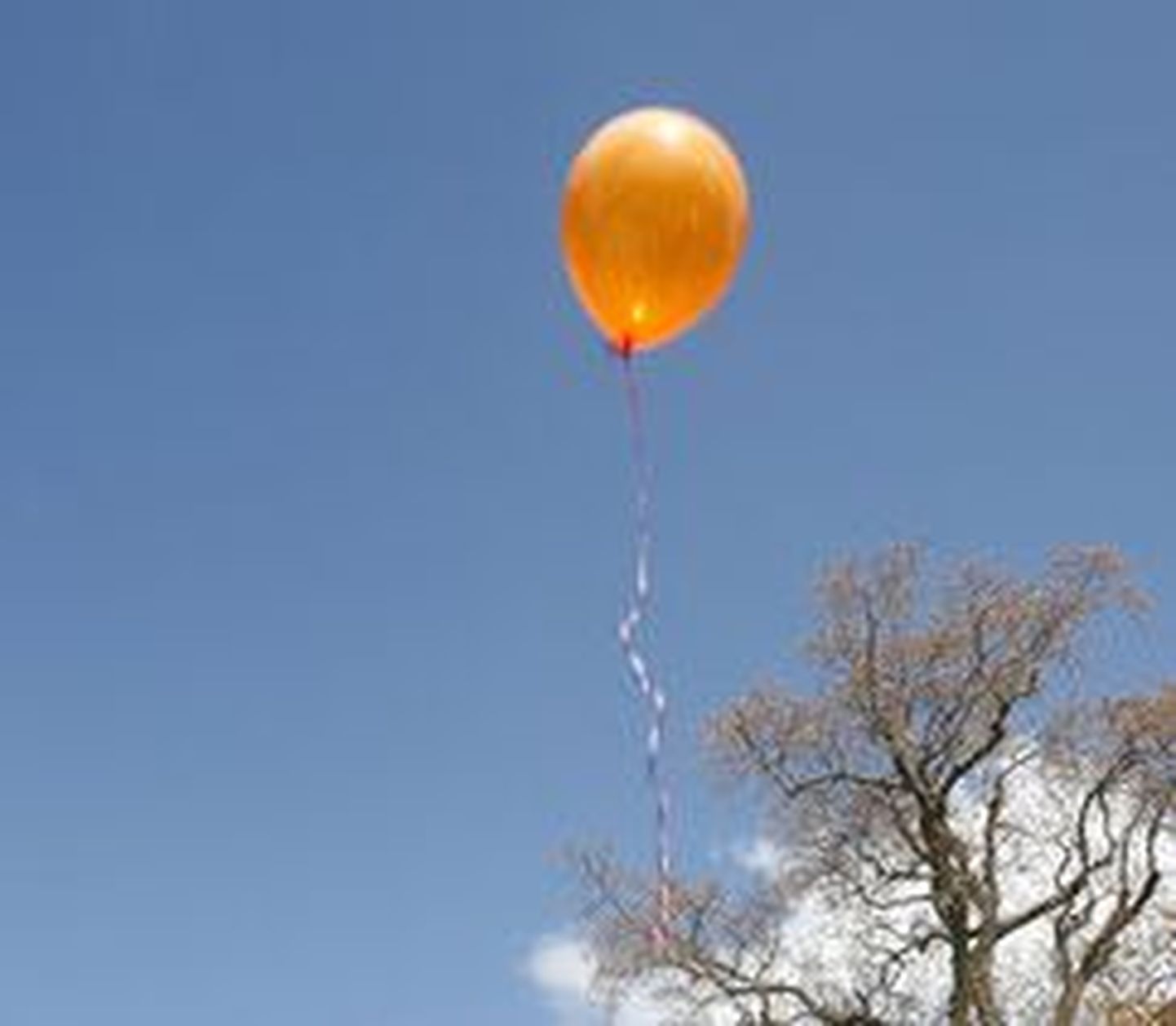 Воздушный шарик. Иллюстративный снимок