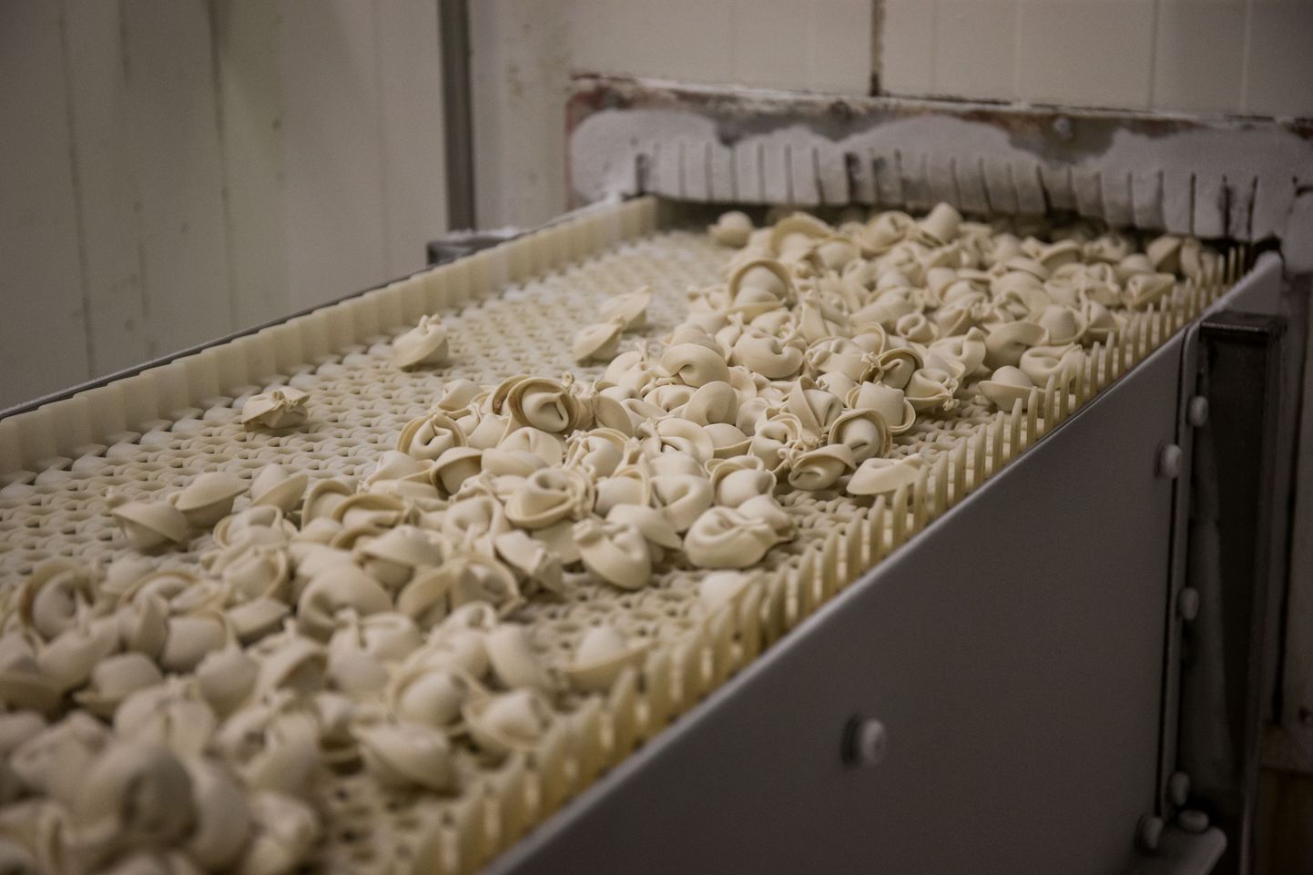 Avatud tööstuste nädalal on võimalik näha, kuidas Eesti ettevõtted tööstuslikult toitu toodavad. Pildil pelmeenide tootmine UVICu tehases.