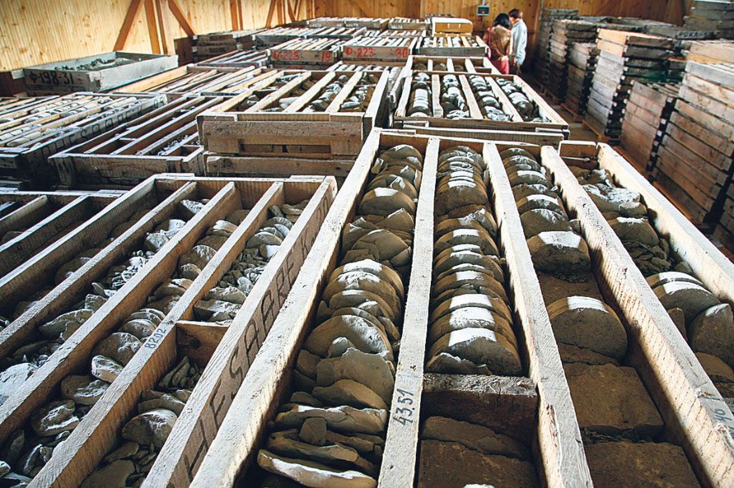 Tehnikaülikooli geoloogiainstituudi välibaasis Särghaual hoiustatakse unikaalset kivimite kollektsiooni.