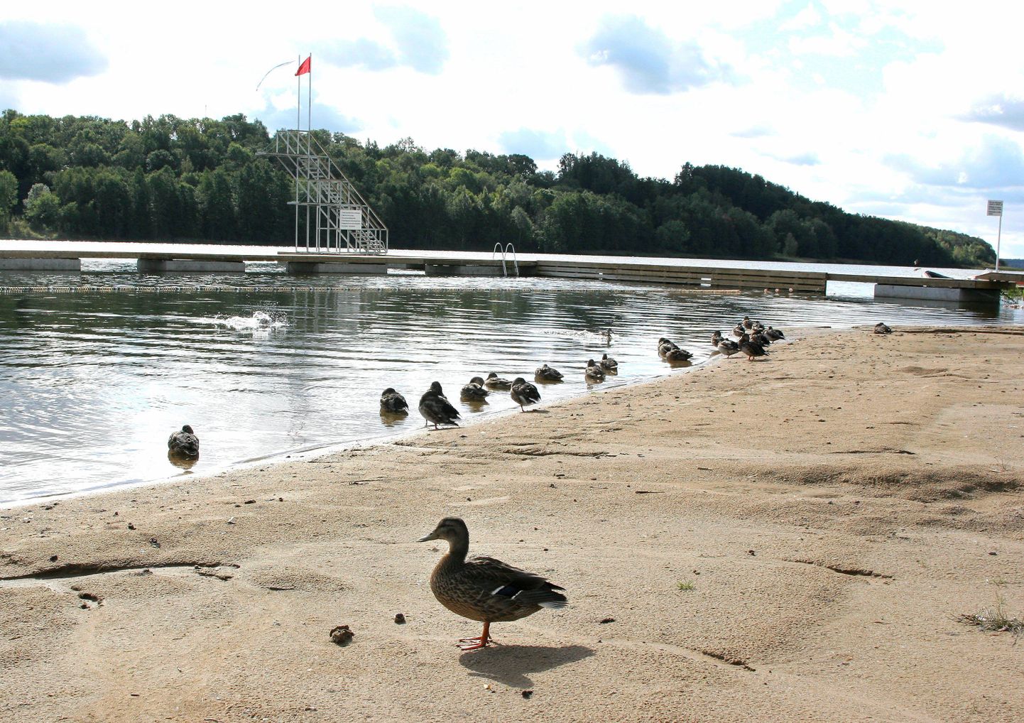 Rannahooaaja lõpetab perepäev Viljandi järve rannas.