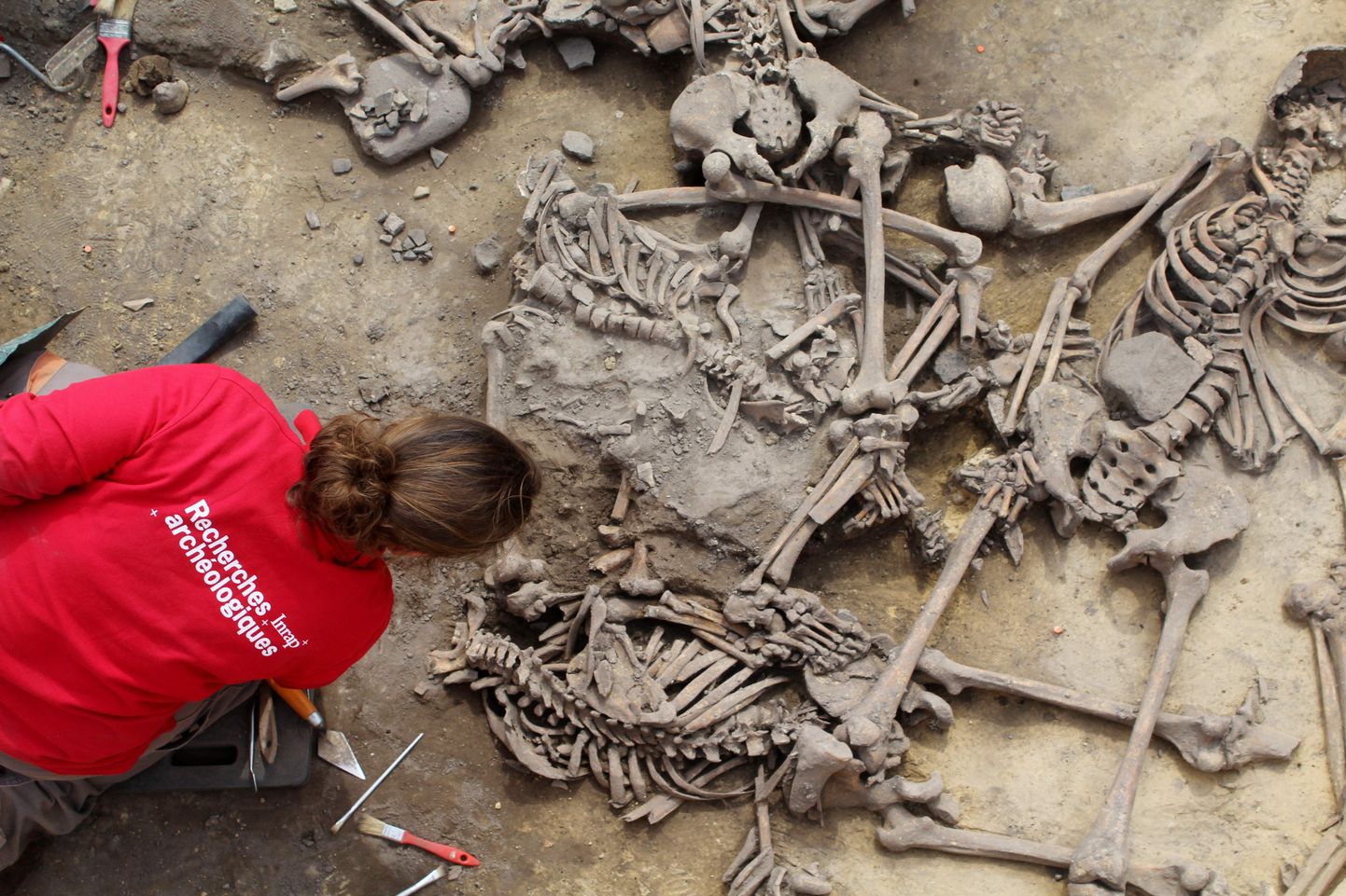 Французские археологи нашли следы кровавой междоусобицы каменного века.