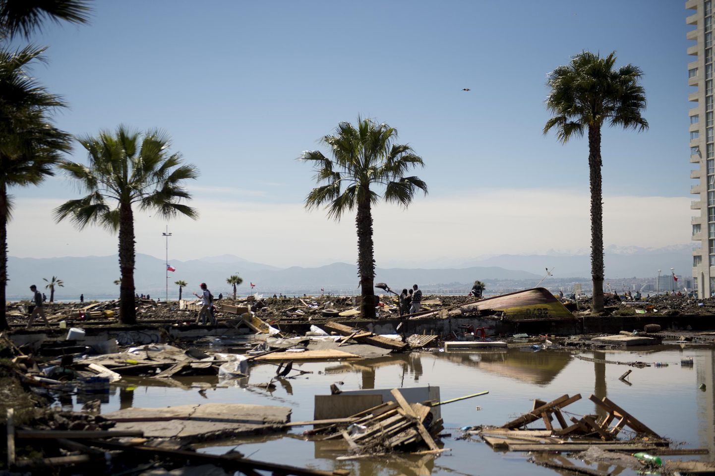 Последствия морского землетрясения на Чили, сентябрь 2015.